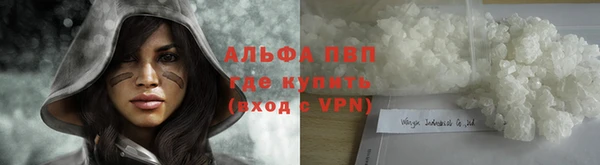 ГАЛЛЮЦИНОГЕННЫЕ ГРИБЫ Медвежьегорск