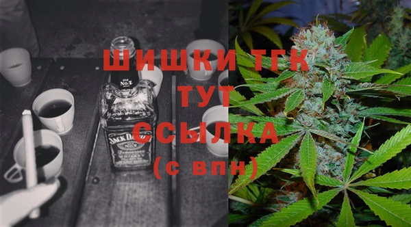 ГАЛЛЮЦИНОГЕННЫЕ ГРИБЫ Медвежьегорск