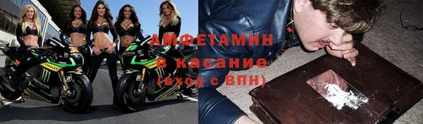 ГАЛЛЮЦИНОГЕННЫЕ ГРИБЫ Медвежьегорск
