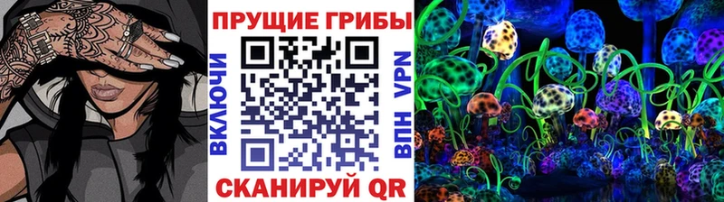 что такое наркотик  Шарья  Галлюциногенные грибы Magic Shrooms 
