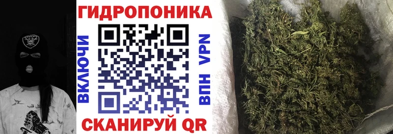 Шишки марихуана Bruce Banner  Шарья 